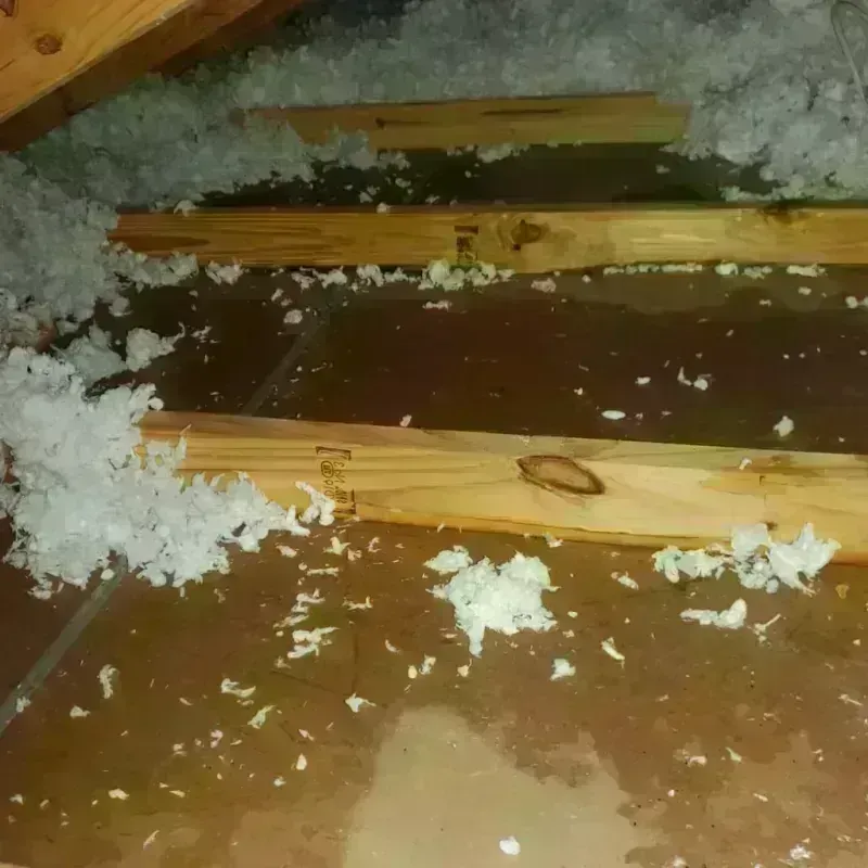 Attic Water Damage in Wichita Falls, TX