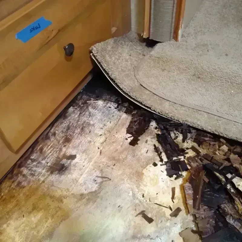 Best Wood Floor Water Damage Service in Wichita Falls, TX